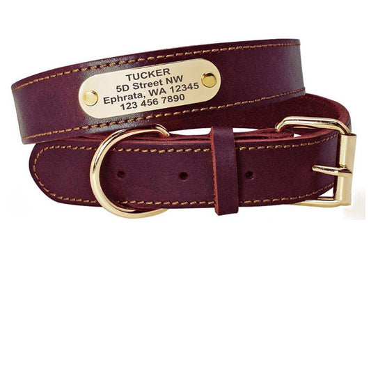 Personalized Dog Collars with Nameplate ID Tags for Medium Large Dogs