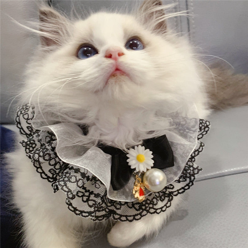 Black Little Fairy Pet Slobber Lace Scarf