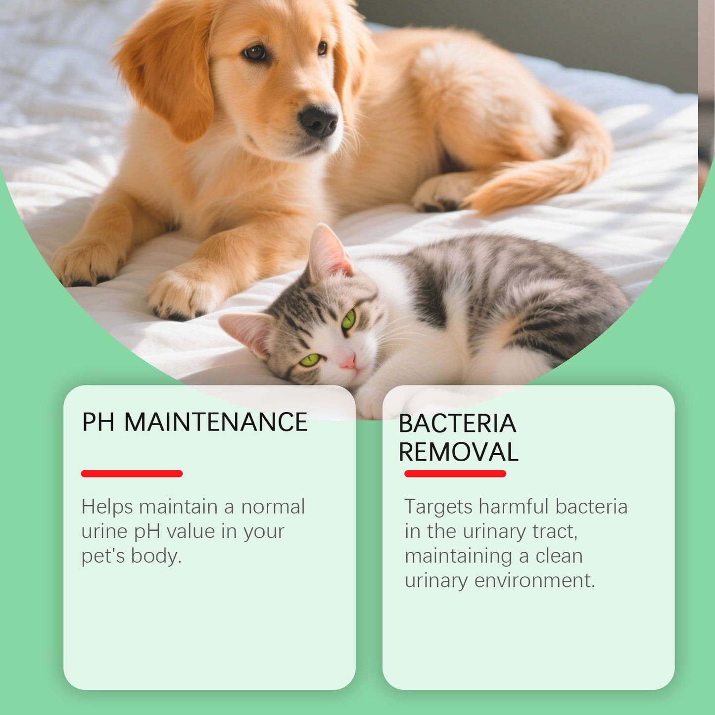 Cat And Dog Urinary Health Drops