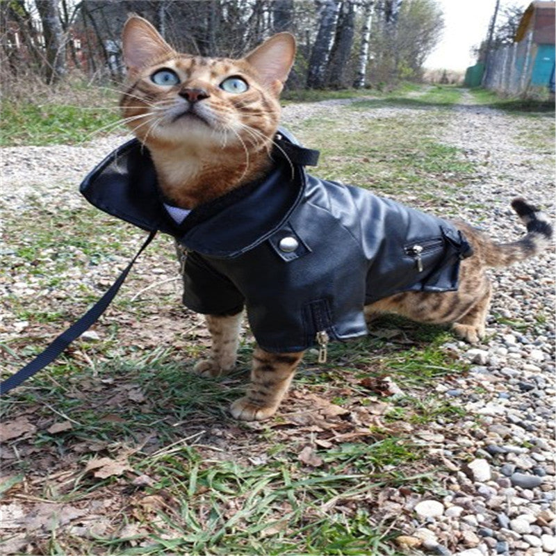 Pet Small Dog Sticker Embroidered Eagle Leather Jacket